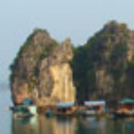 Tropicana Restaurant